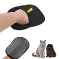 Double-Sided Pet Hair Removal Glove