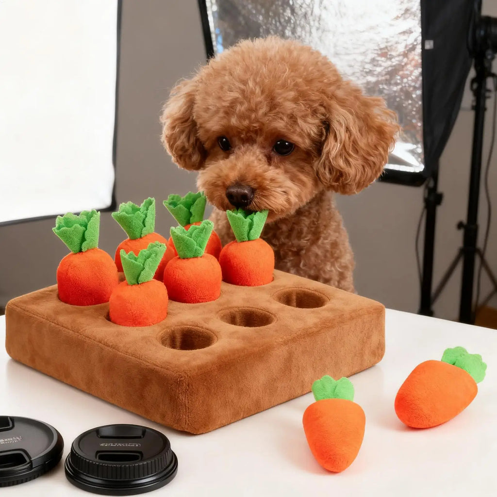 Carrot Snuffle Mat – Dog Enrichment & Foraging Toy